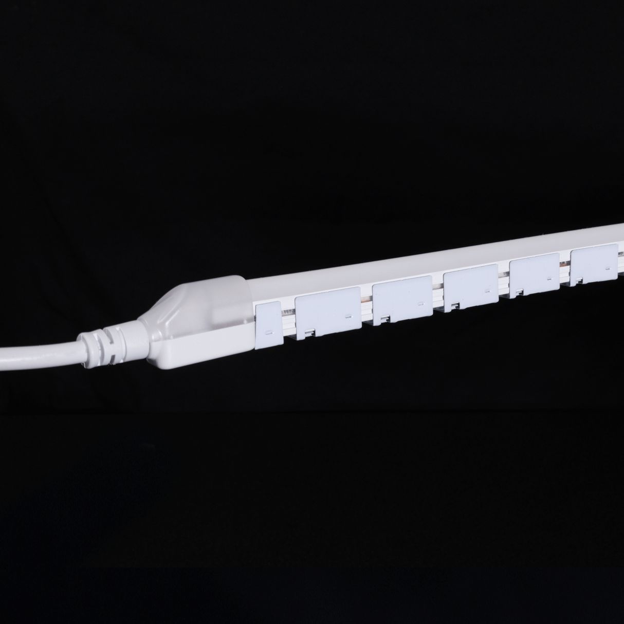 Diode NEON BLAZE Wet Location / IP65 / 5 Year Warranty / 80+ CRI Diffused LED Lighting (2.4W/ft) 32.8ft Spool
