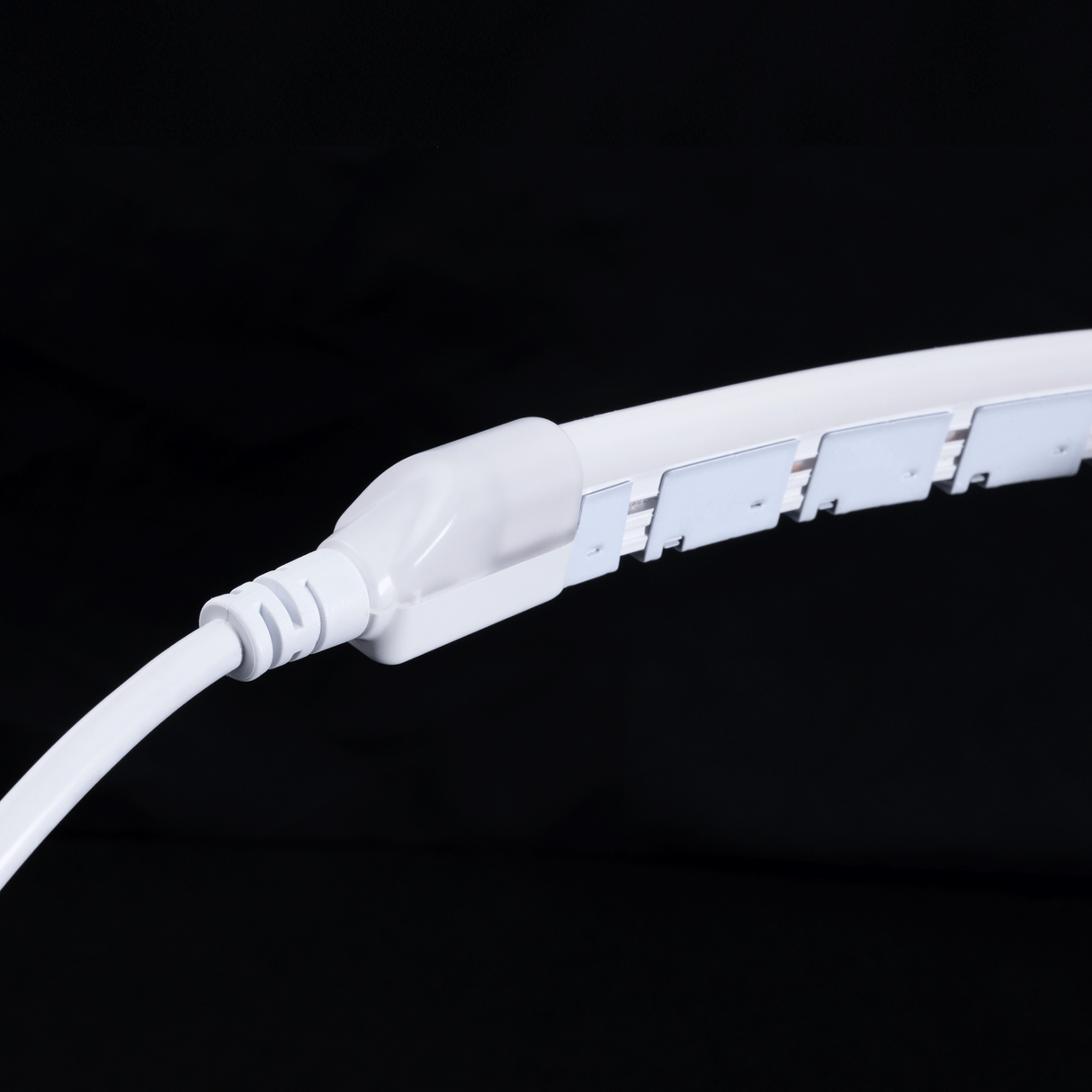 Diode NEON BLAZE Wet Location / IP65 / 5 Year Warranty / 80+ CRI Diffused LED Lighting (4.4W/ft) 16.4ft Spool