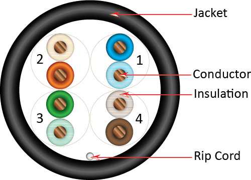 Vertical Cable Cat6 Plenum Unshielded 1000ft 066-555/P/BL