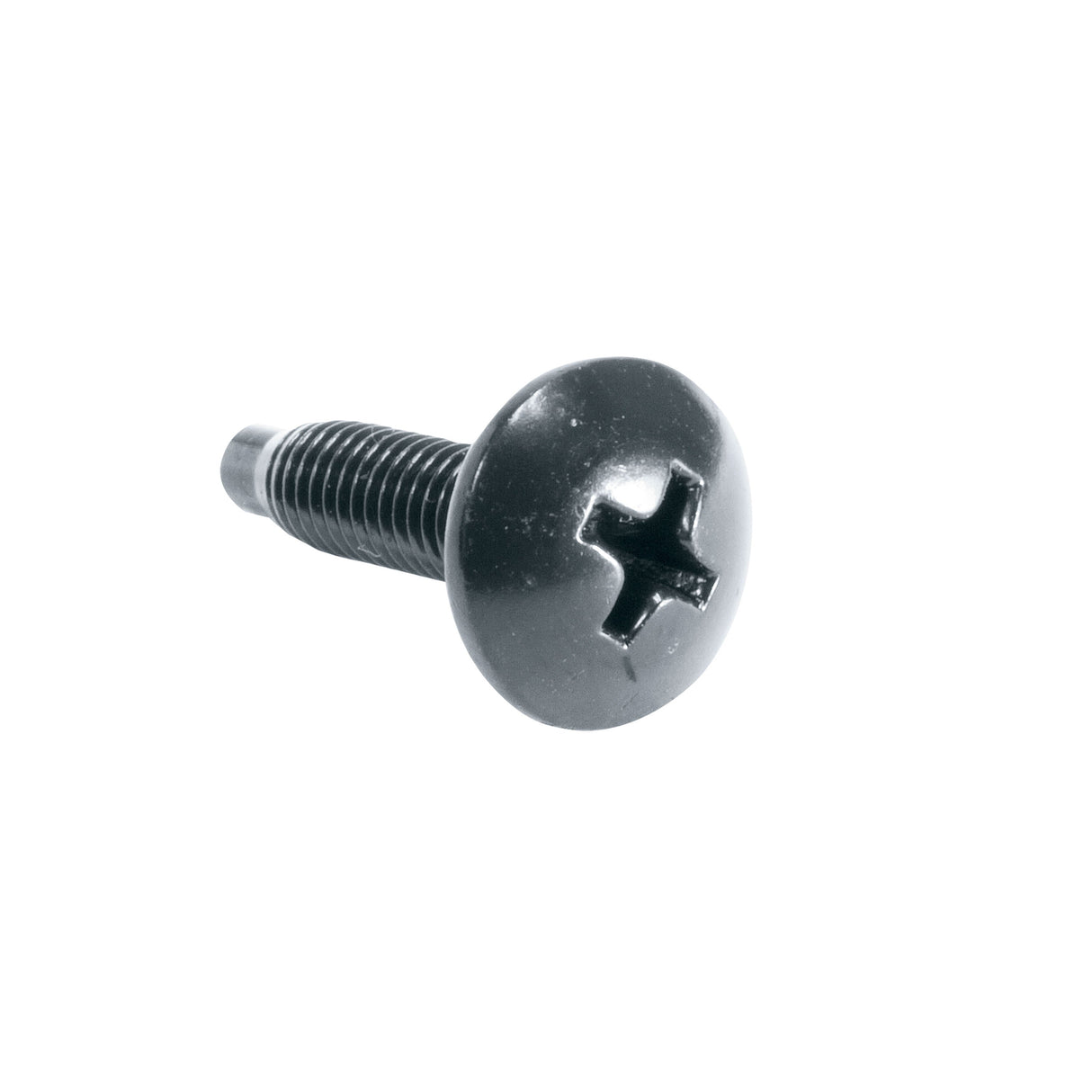 Middle Atlantic HG 100PC,10-32 RUST RST SCW