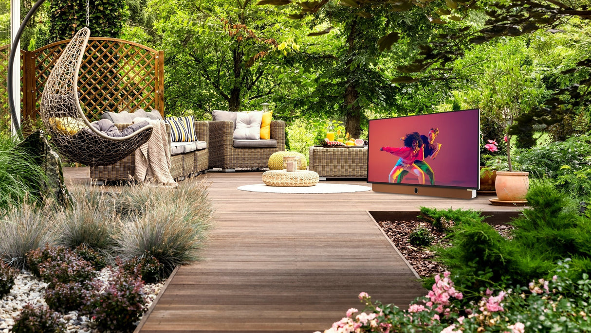 Skyworth 24P100 Companion Portable™ 24" LED Display | Google TV