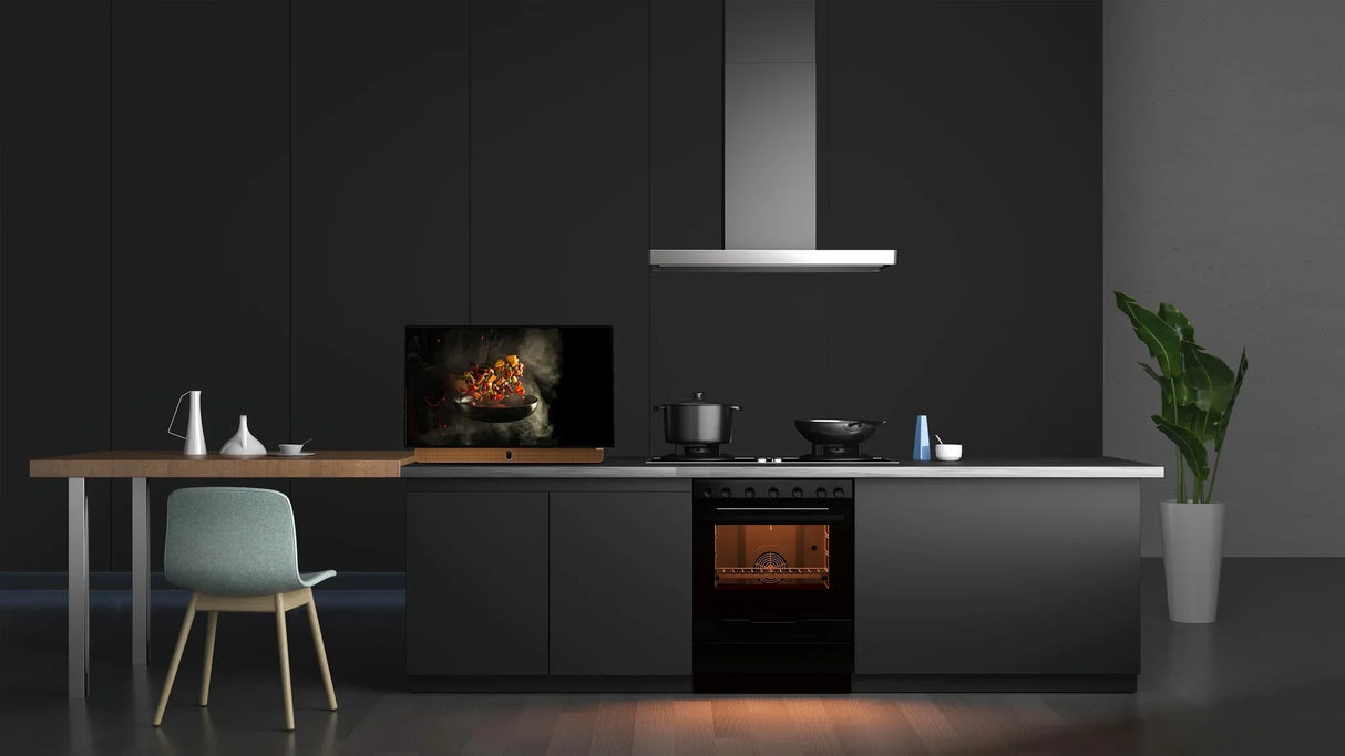 Skyworth 24P100 Companion Portable™ 24" LED Display | Google TV