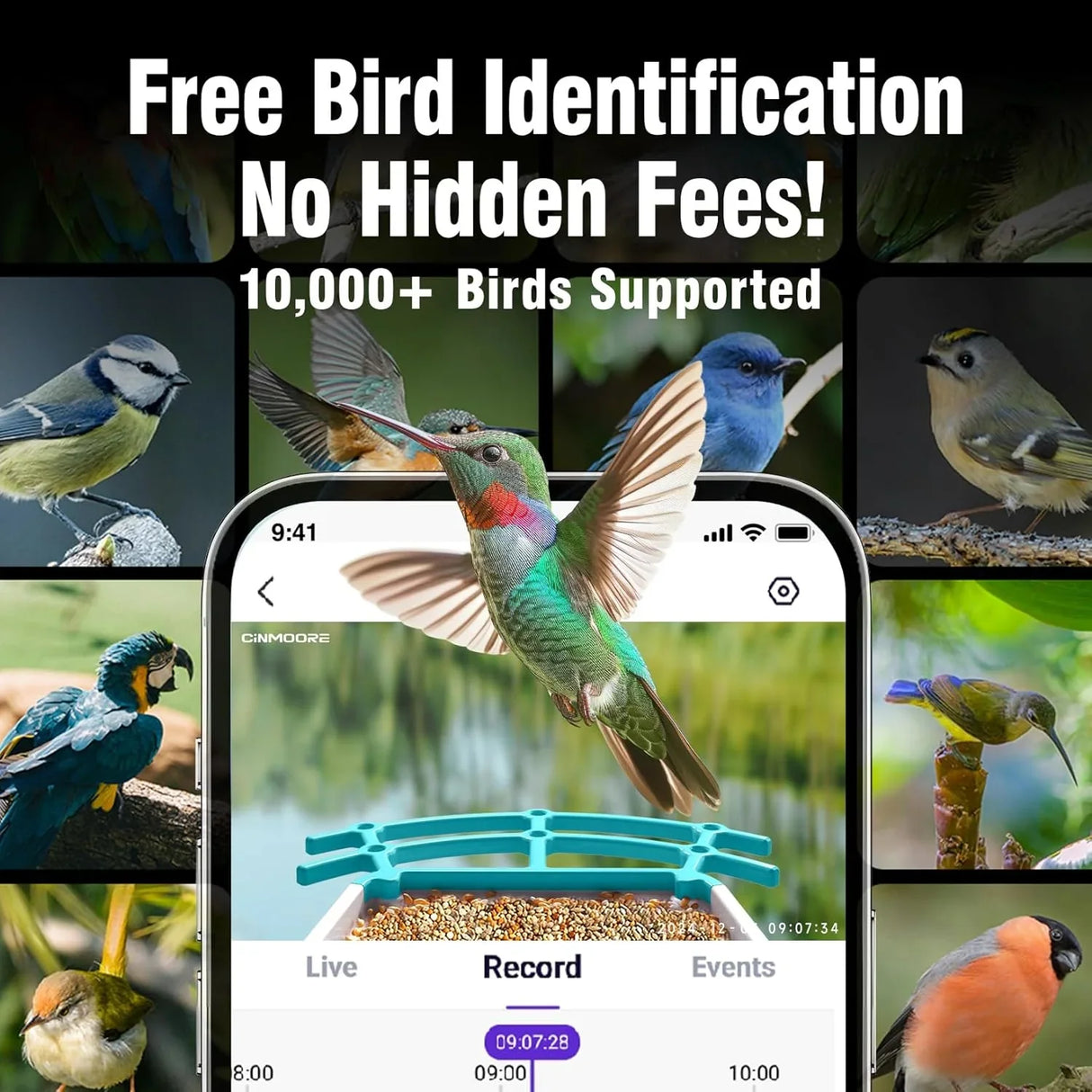 Cinmoore P2U Smart WiFi Bird Feeder Battery/Solar Camera