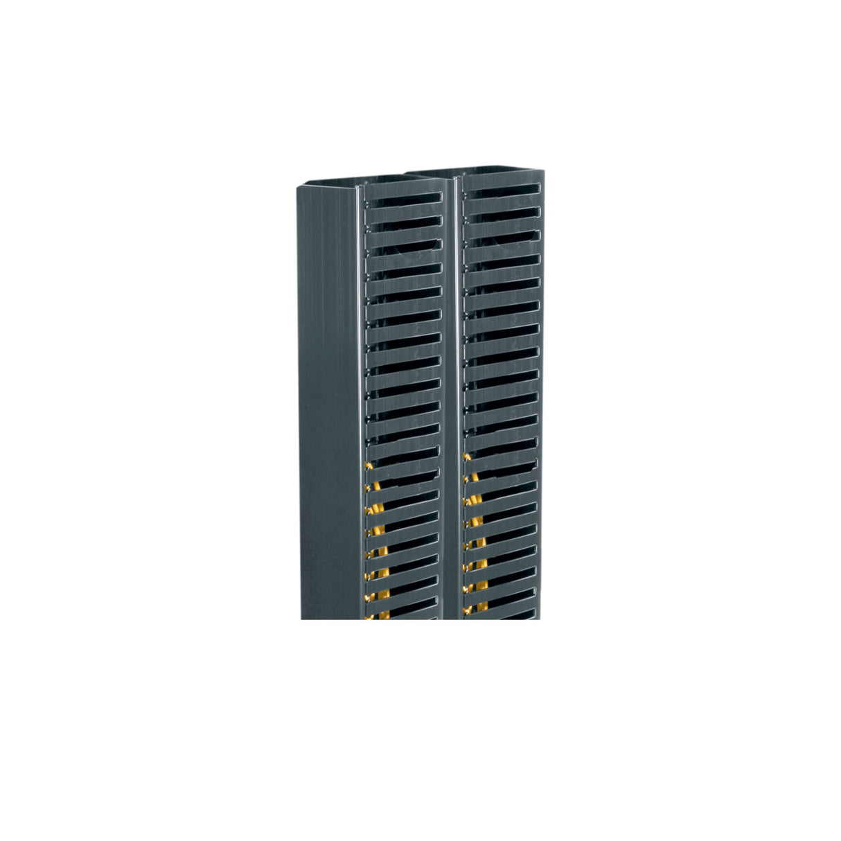 Middle Atlantic PCD-3-6-38DC 3"WX6"DX38RU,DUAL DUCT