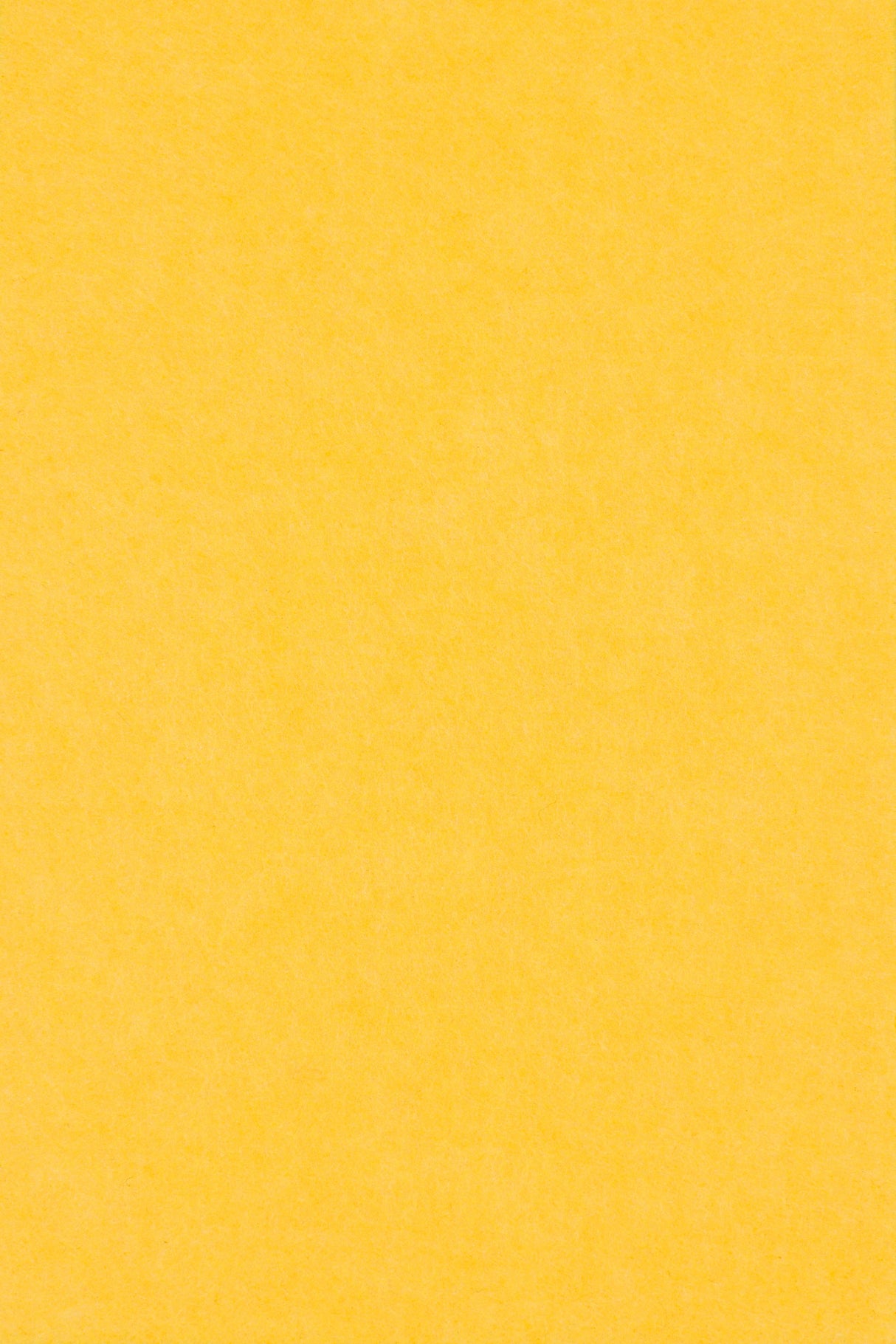 Middle Atlantic AUTT22SQSDSMPNA Solid 2'x2', Premium, Pineapple