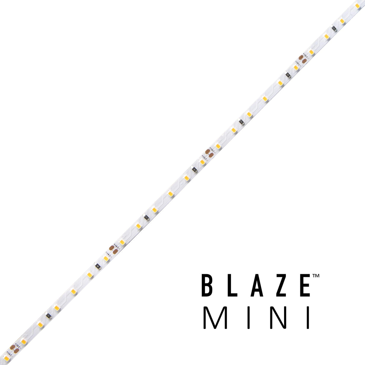 Diode BLAZE MINI 12 Year Warranty / 90+ CRI 4mm LED Tape Light 16.4ft Spool 24V