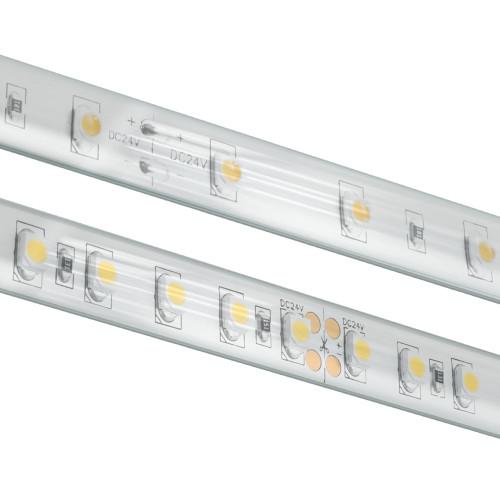Diode BLAZE X Wet Location / IP65 / 12 Year Warranty / 95+ CRI Tape Light 12V