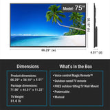 Neptune 75" Full Sun Outdoor Smart TVs (2026)