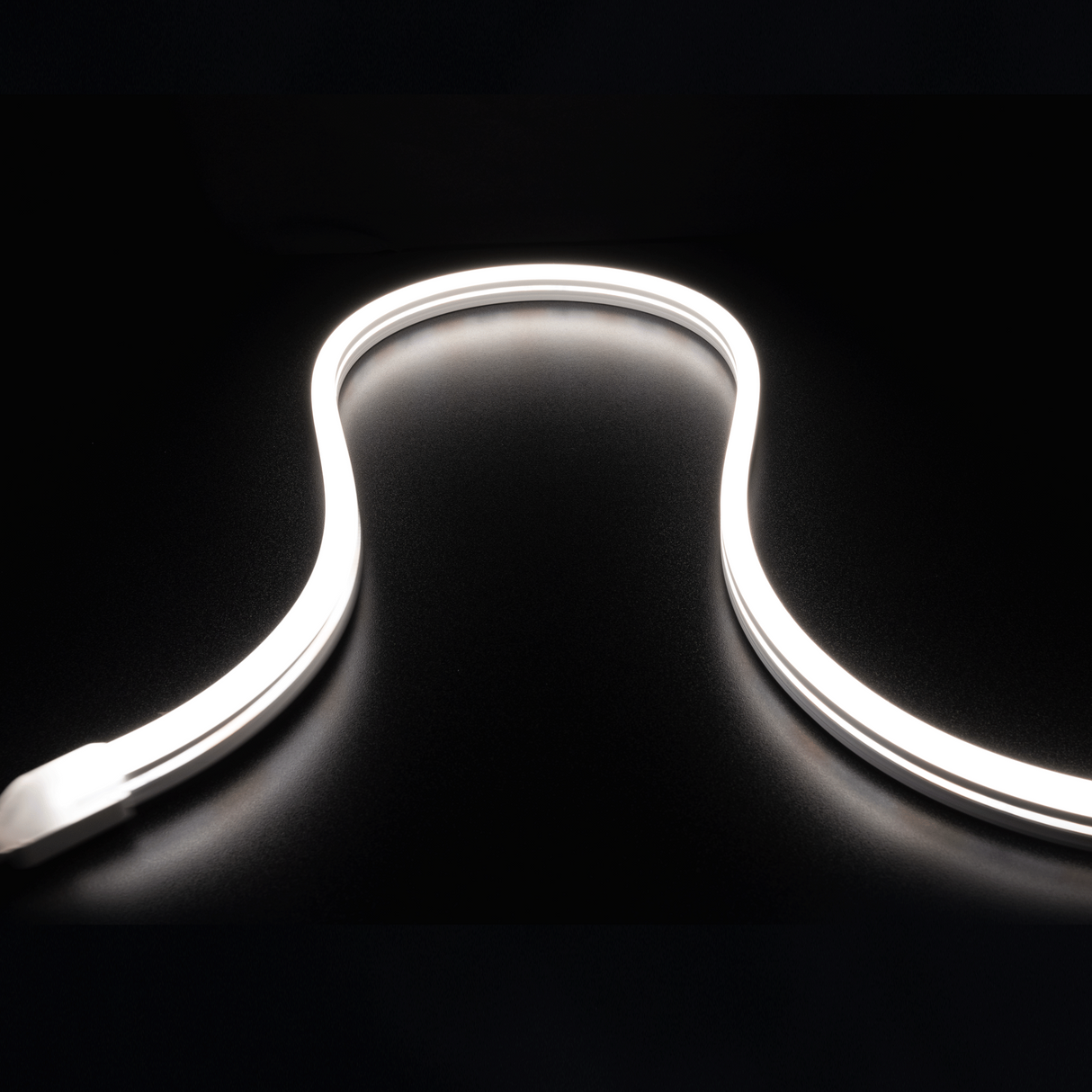 Diode NEON BLAZE Wet Location / IP65 / 5 Year Warranty / 80+ CRI Diffused LED Lighting (4.4W/ft) 16.4ft Spool