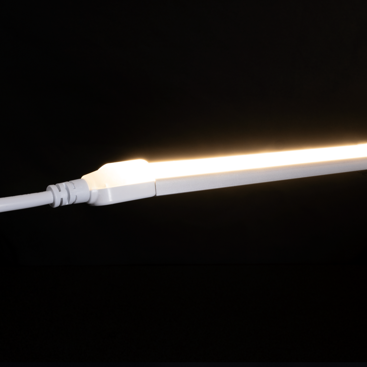 Diode NEON BLAZE Wet Location / IP65 / 5 Year Warranty / 80+ CRI Diffused LED Lighting (4.4W/ft) 16.4ft Spool
