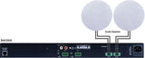 Beale Street Audio 2x500W/4x250W 70/100V/8ohm Digital Amp w/ 2/4 Inputs