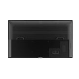 Neptune 55" Full Sun Outdoor TV