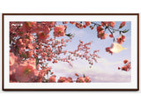 Leon Solé Frame for Sony BRAVIA 7 K-65XR70