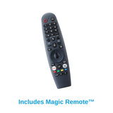 Neptune 65" Partial Sun Outdoor TV