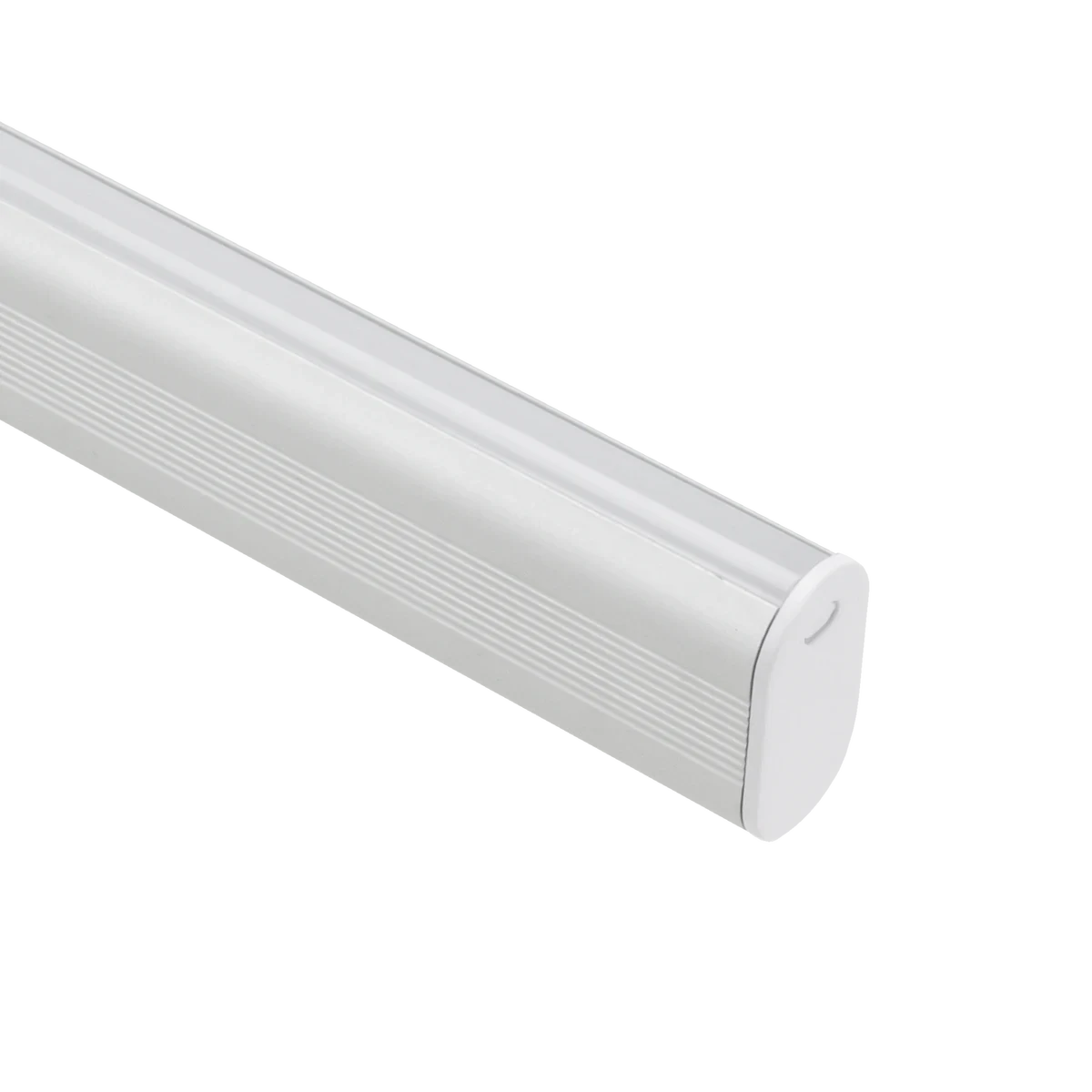 Proluxe PLX-EXTSTRUT-END STRUT - SS END CAP