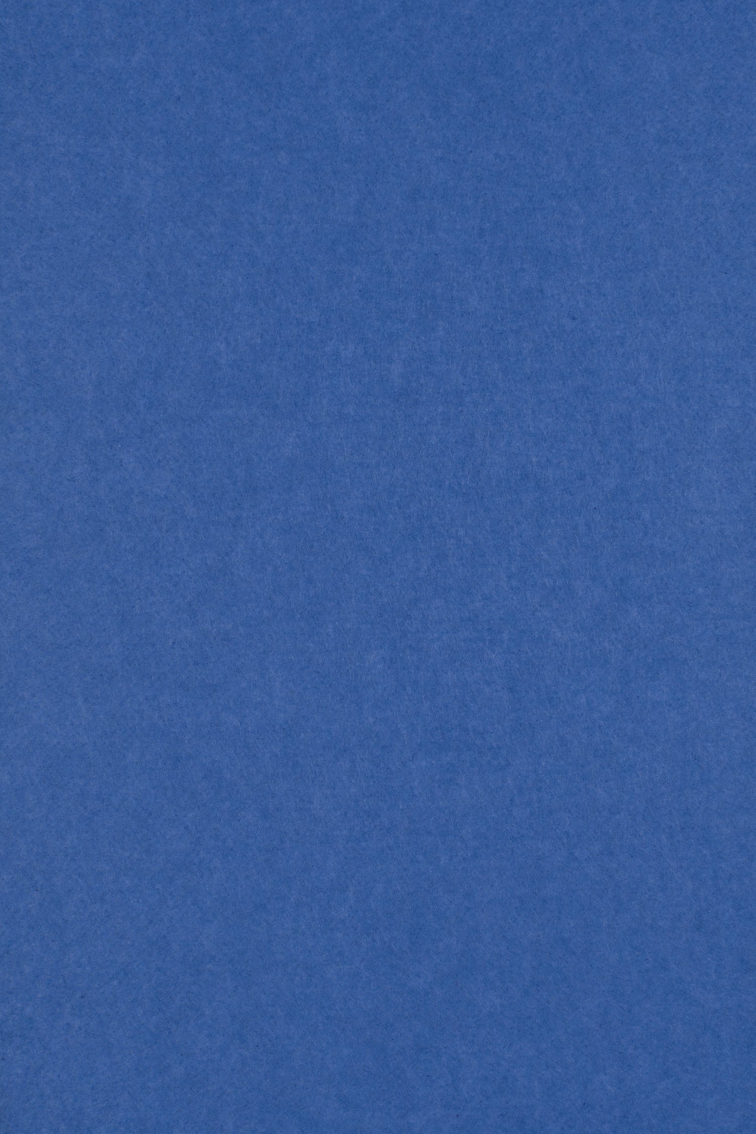 Middle Atlantic AUTT22SQDACSMCFB Double Arc 2'x2', Premium, Cornflower Bl
