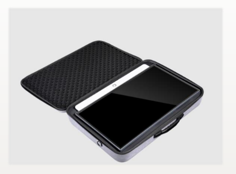 Skyworth Companion Portable™ 24" LED Display WITH Carrying Case