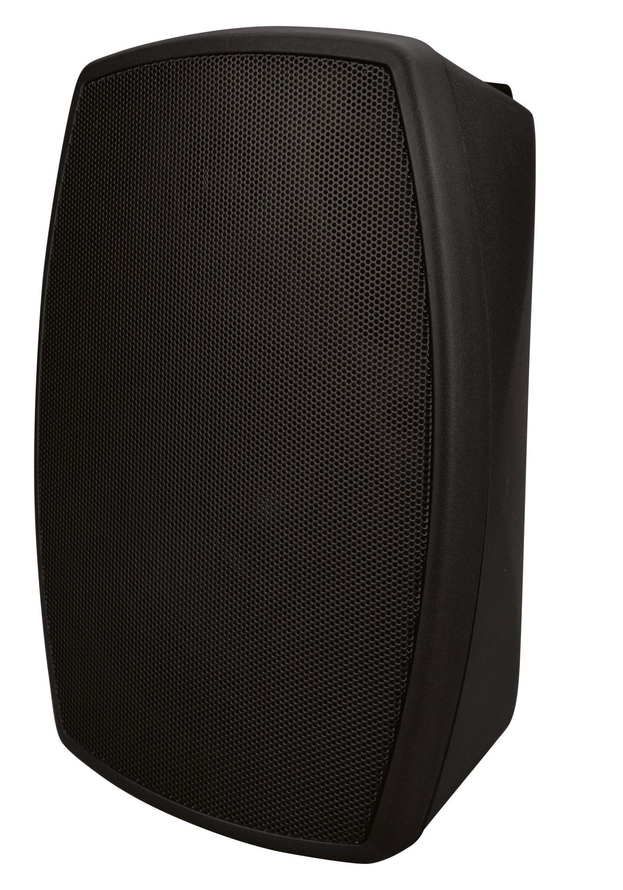 Beale Street Audio 5.25” On-Wall Indoor/Outdoor Speaker