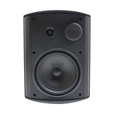 Earthquake AWS All-Weather Speaker