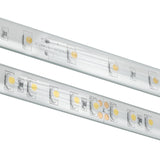 Diode BLAZE Wet Location/ IP65 / 7 Year Warranty / 90+ CRI Tape Light 12V