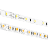 Diode Blade X 12 Year Warranty / 95+ CRI Tape Light 24V