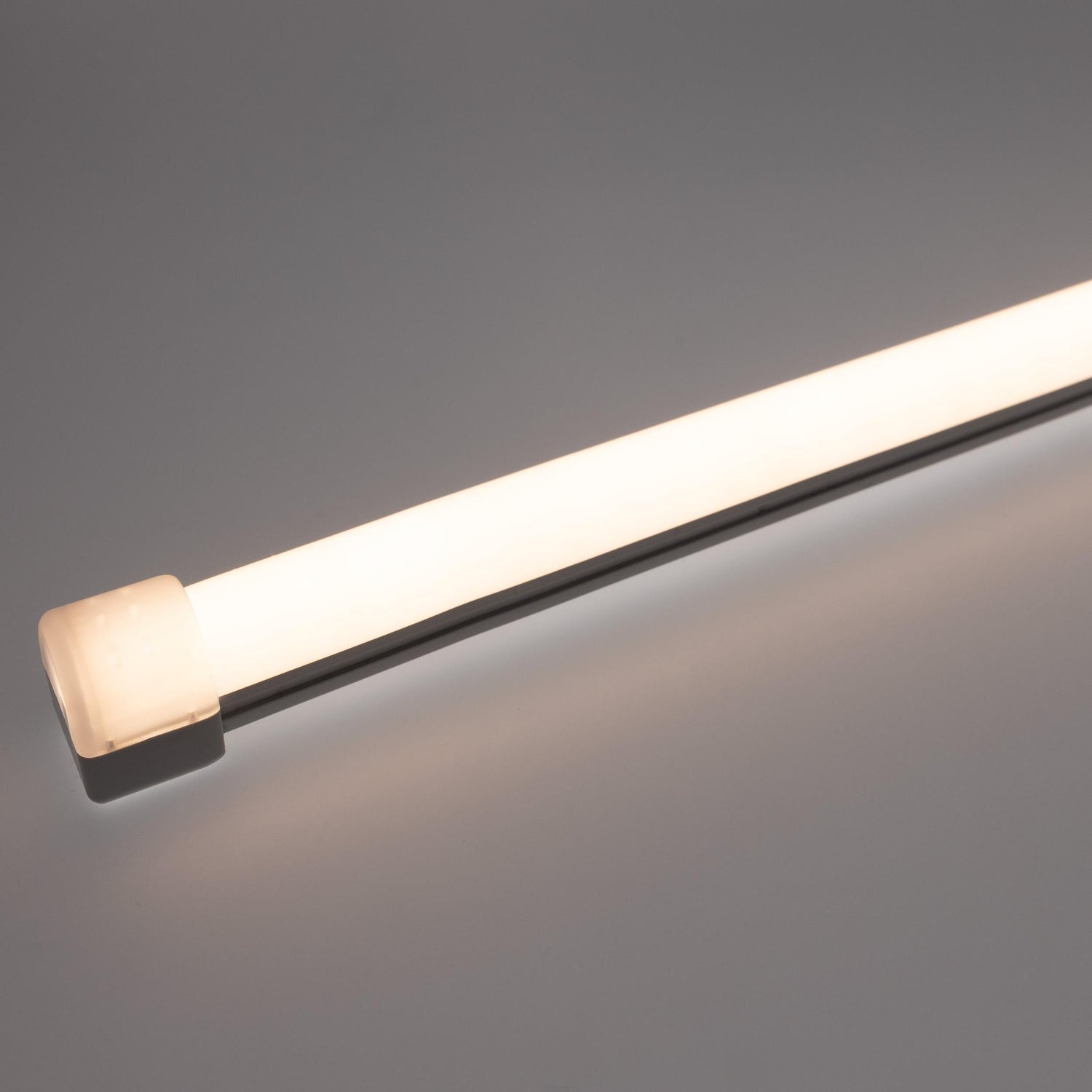 Diode NEON BLAZE Wet Location / IP65 / 5 Year Warranty / 80+ CRI Diffused LED Lighting (4.4W/ft) 16.4ft Spool