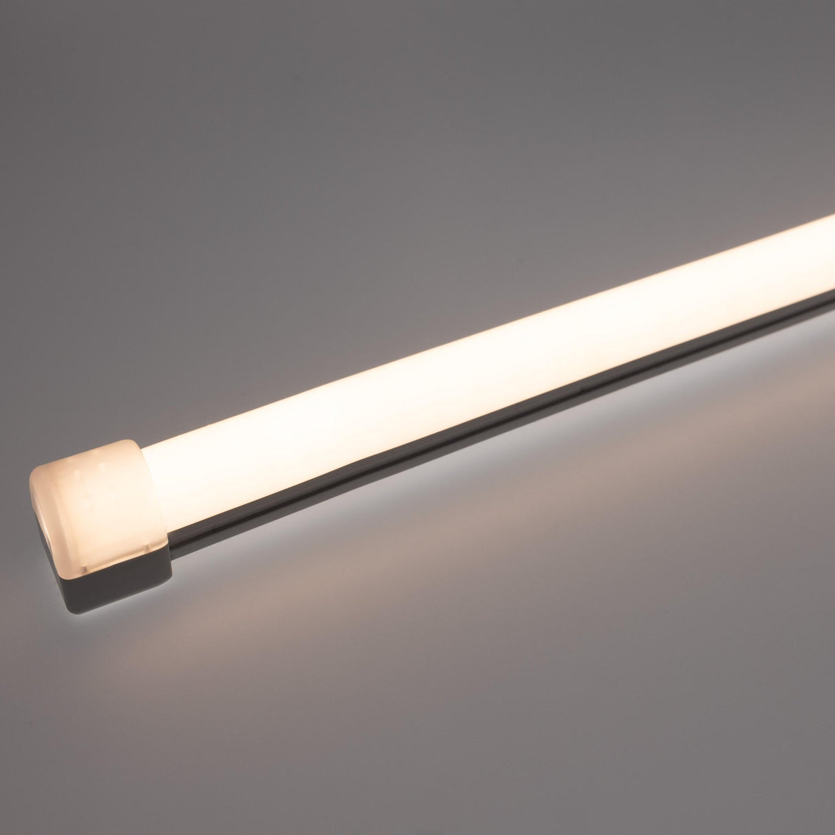 Diode NEON BLAZE Wet Location / IP65 / 5 Year Warranty / 80+ CRI Diffused LED Lighting (2.4W/ft) 32.8ft Spool