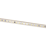 Diode INFINILINE LED Tape Light, 120V, 164 ft. Spool