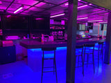 Diode BLAZE™ COLORS Tape Light 24V