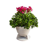 Rockustics OmniPlanter 8.0-T 8" Coaxial Outdoor Planter Speaker w/Transformer, Each