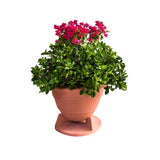 Rockustics OmniPlanter 8.0-T 8" Coaxial Outdoor Planter Speaker w/Transformer, Each