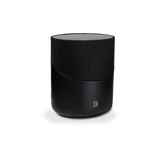 BlueSound Pulse M - Black