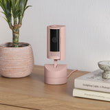 Ring Pan-Tilt Indoor Cam