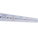 Diode VALENT® RGBW Wet Location