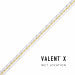 Diode VALENT X Wet Location / IP65 / 12 Year Warranty / 95+ CRI / High Density Tape Light 24V