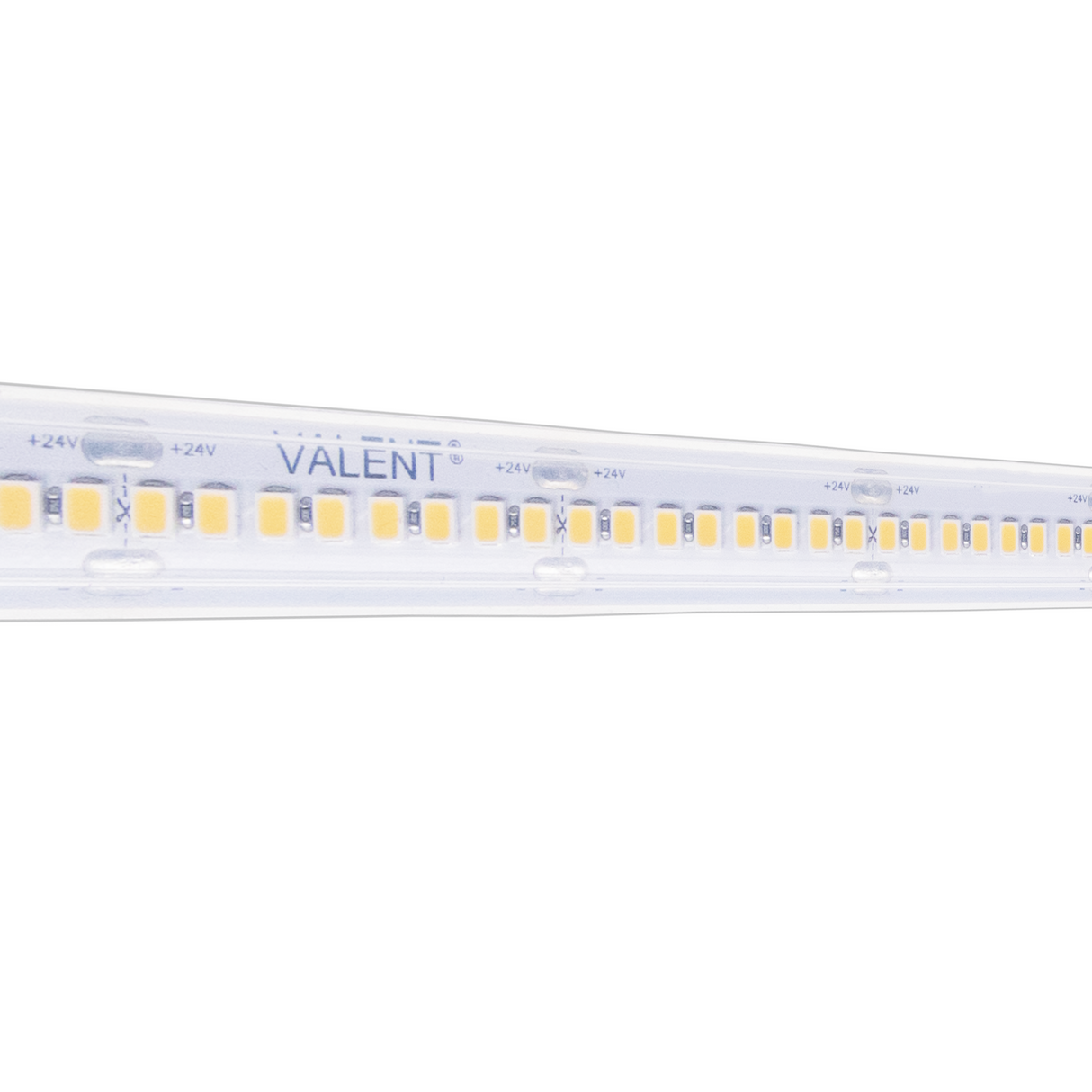 Diode VALENT Wet Location 7 Year Warranty / 90+ CRI LED Tape Light 24V